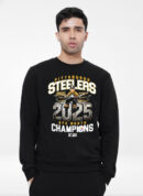 Steelers AFC North Champions Shirt | Pittsburgh Steelers AFC North Champions 2025 T-Shirt, Sweatshirt & Hoodie